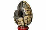 Septarian Dragon Egg Geode - Black Crystals #121256-3